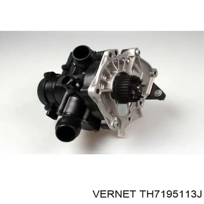 TH7195.113J Vernet termostato, refrigerante