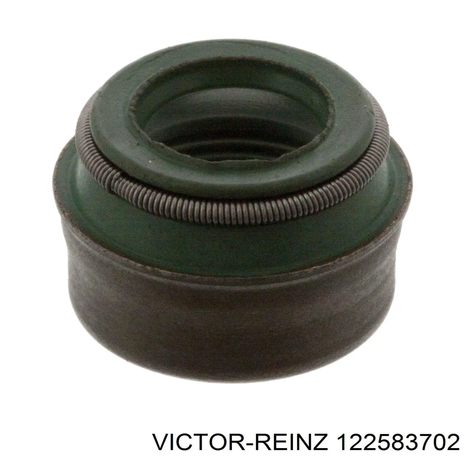 12-25837-02 Victor Reinz sello de aceite de valvula (rascador de aceite Entrada/Salida Kit De Motor)