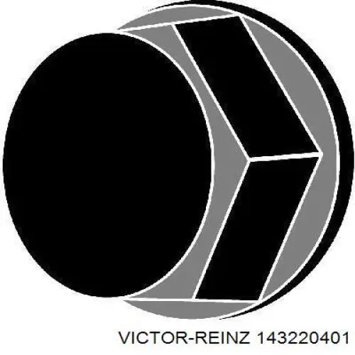 14-32204-01 Victor Reinz tornillo de culata