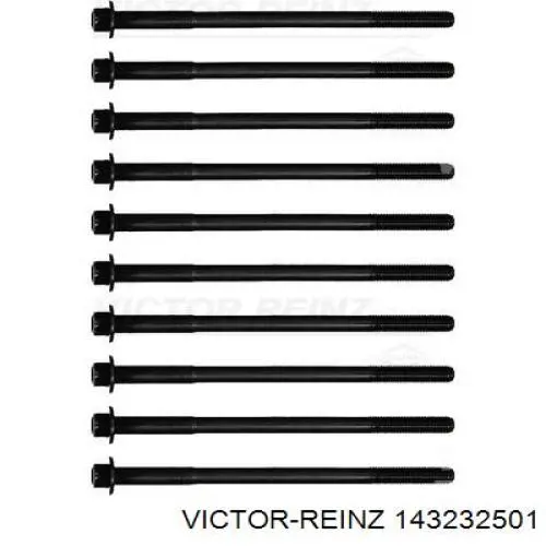 14-32325-01 Victor Reinz tornillo de culata