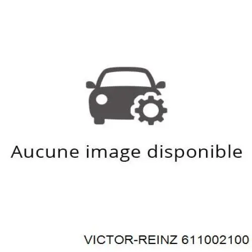 611002100 Victor Reinz 