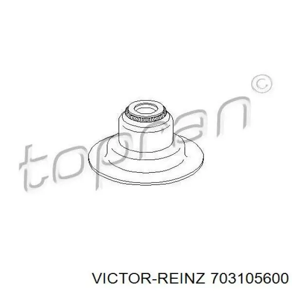 70-31056-00 Victor Reinz sello de aceite de valvula (rascador de aceite Entrada/Salida)