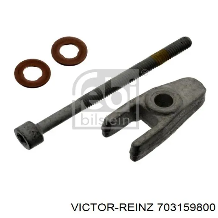 70-31598-00 Victor Reinz junta anular, inyector