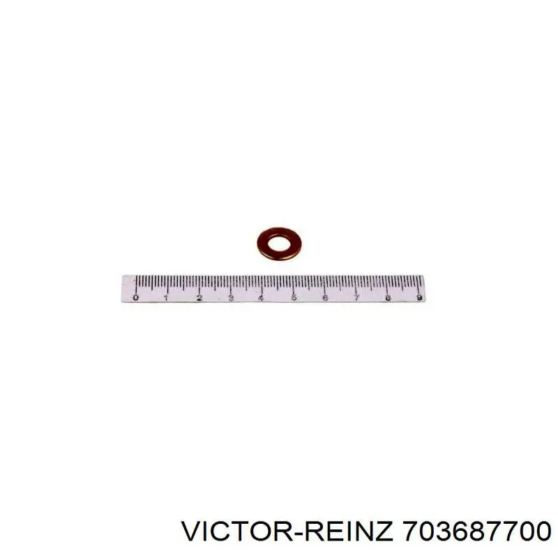 703687700 Victor Reinz junta anular, inyector