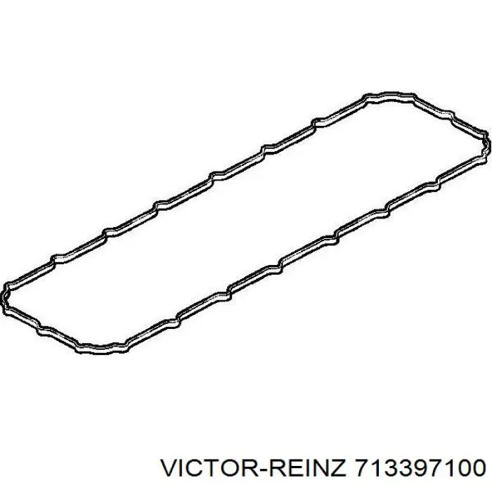 713397100 Victor Reinz junta de la tapa de válvulas del motor