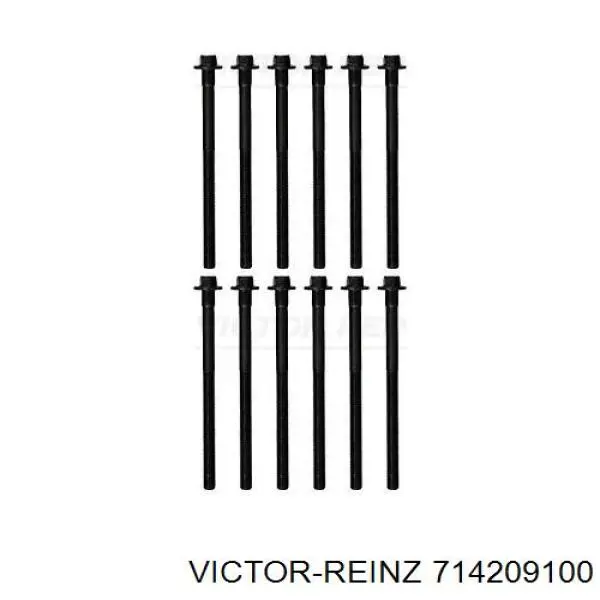 71-42091-00 Victor Reinz junta de la tapa de válvulas del motor