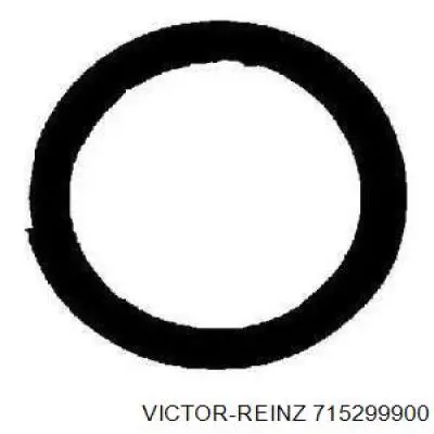 71-52999-00 Victor Reinz junta de tubo de escape silenciador