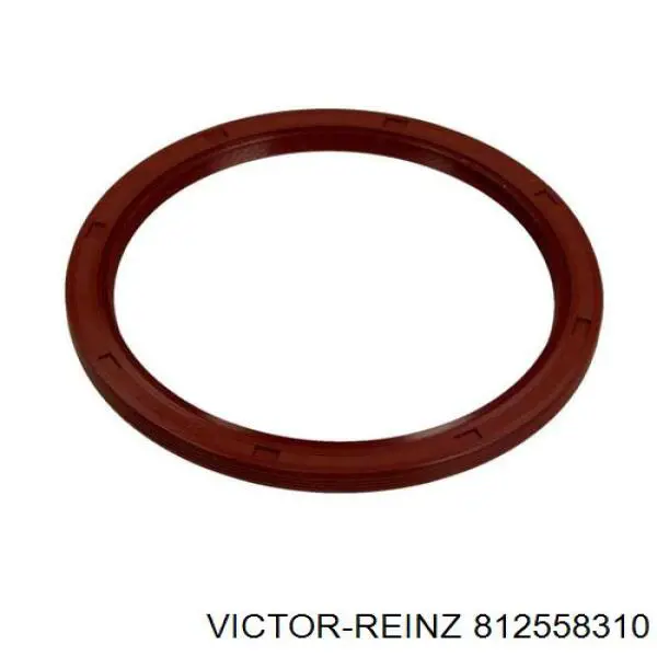 81-25583-10 Victor Reinz anillo retén, cigüeñal