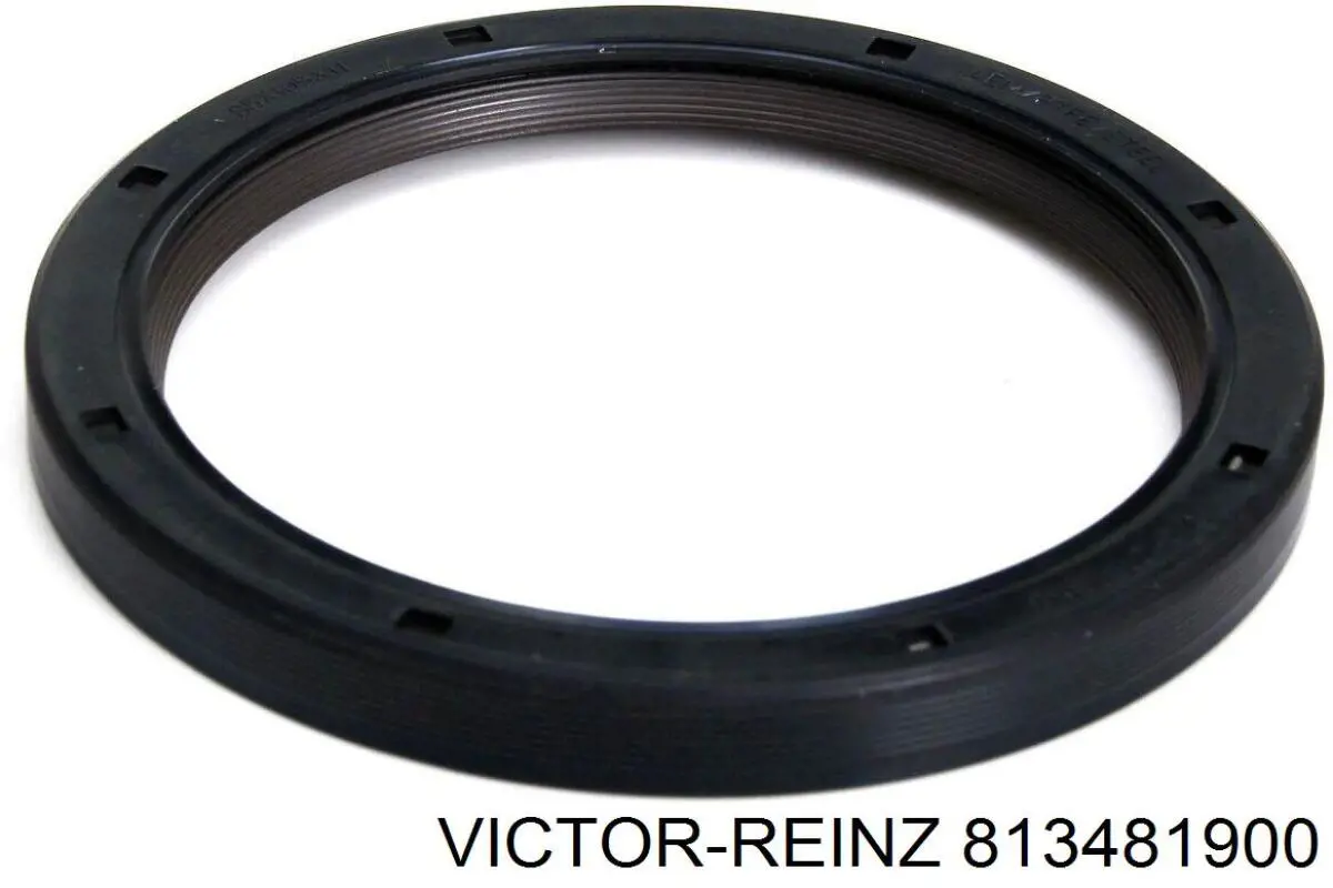 81-34819-00 Victor Reinz anillo retén, cigüeñal