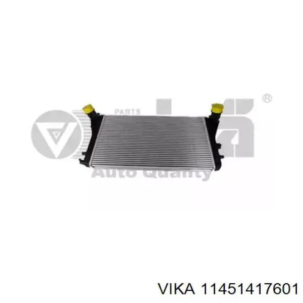  Radiador de aire de admisión para Volkswagen Passat 358