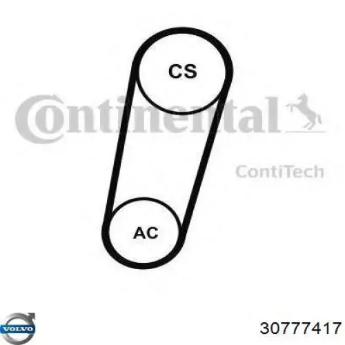 30777417 Volvo correa trapezoidal