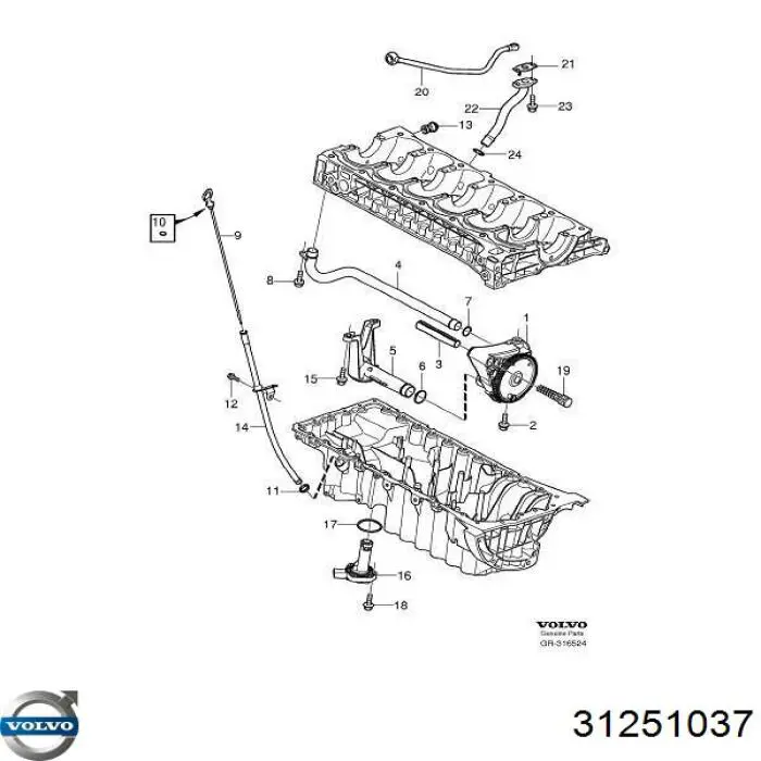 31251037 Volvo varilla del nivel de aceite