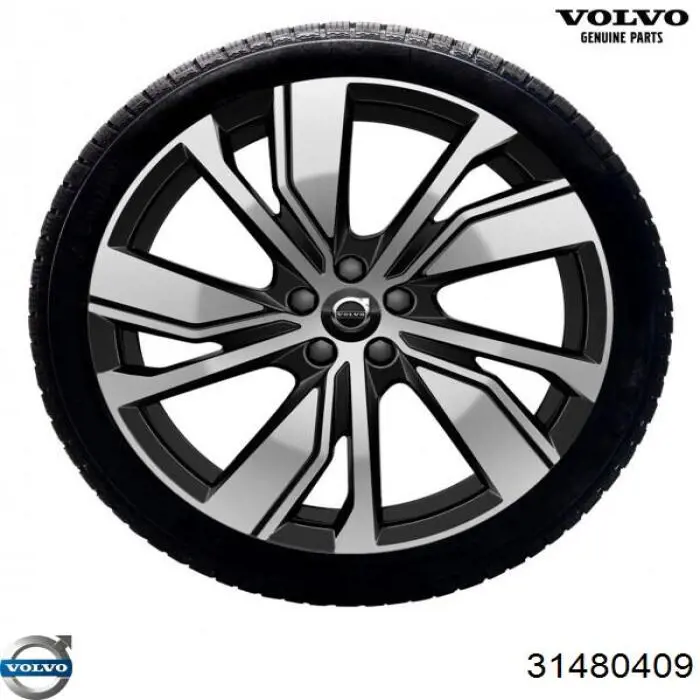 31480409 Volvo correa de transmision, juego completo