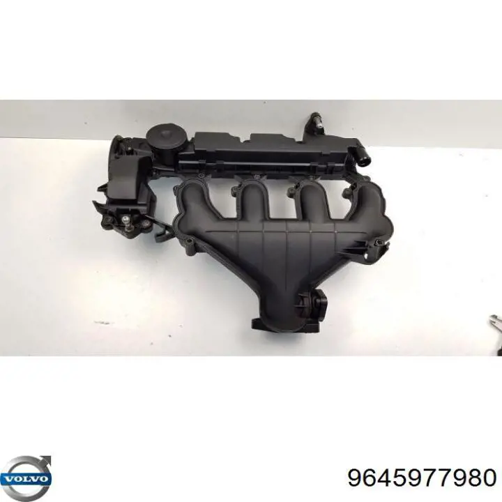  Tapa de culata para Citroen C8 EA, EB