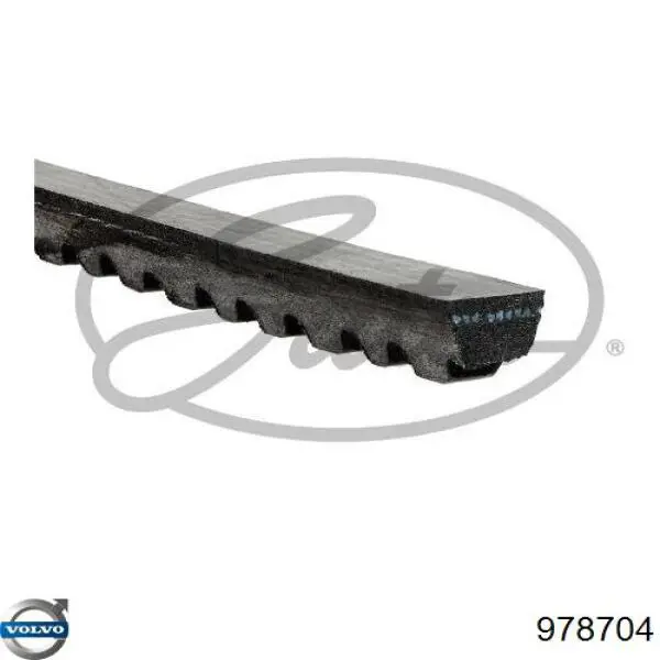 978704 Volvo correa trapezoidal