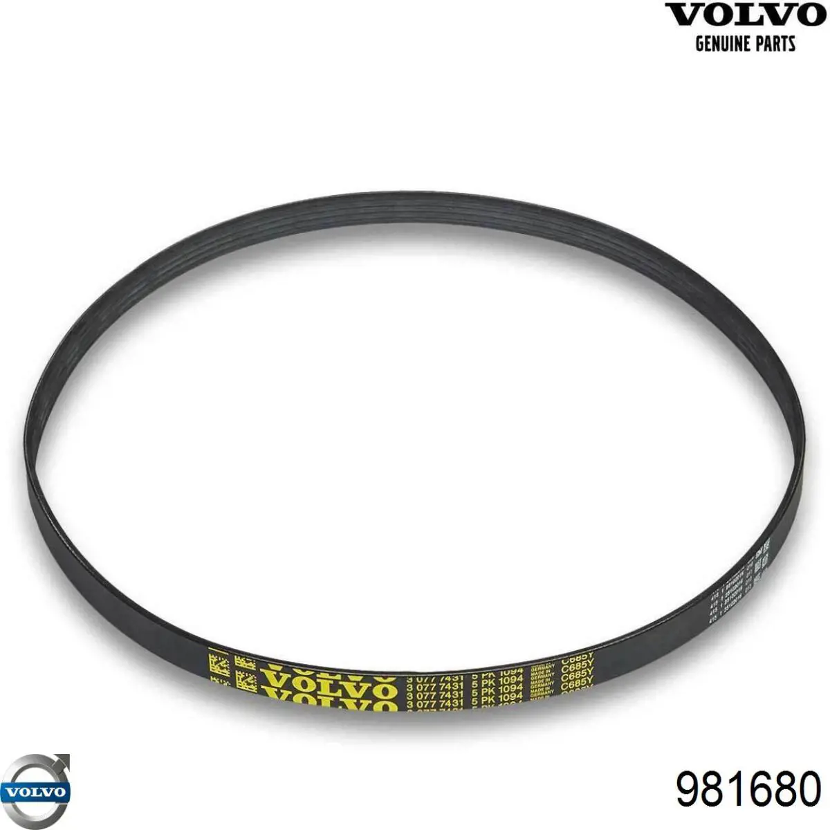 981680 Volvo correa trapezoidal