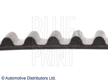 ADC47519 Blue Print correa distribucion