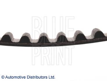 ADC47549 Blue Print correa distribucion