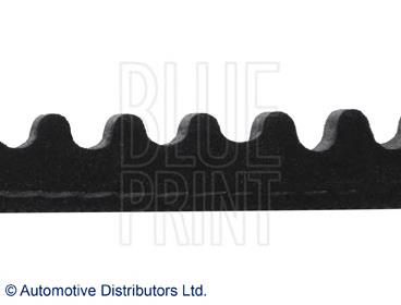 AD13V975 Blue Print correa trapezoidal