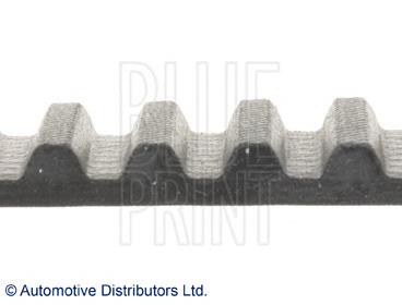 ADG07517 Blue Print correa distribucion