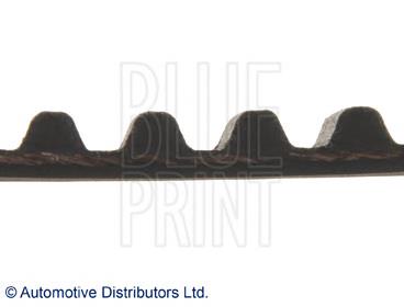 ADM57507 Blue Print correa distribucion