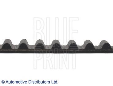 ADM57536 Blue Print correa distribucion