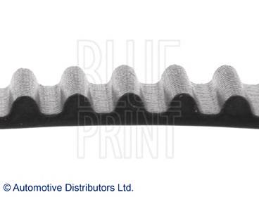 ADM57513 Blue Print correa distribucion