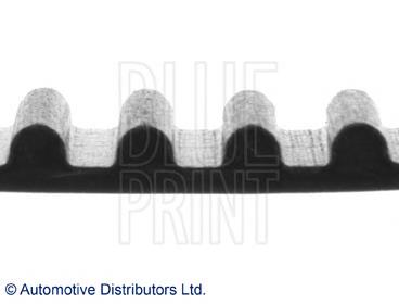 ADM57512 Blue Print correa distribucion