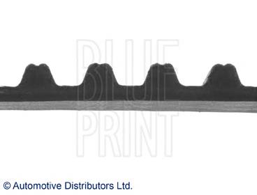 ADH27534 Blue Print correa distribucion