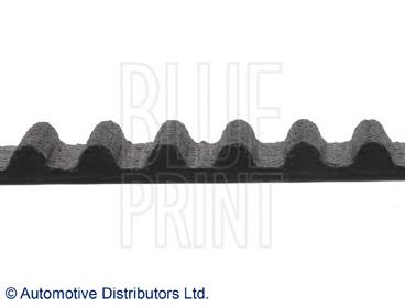 ADH27519 Blue Print correa distribucion