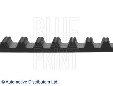 ADK87520 Blue Print correa distribucion