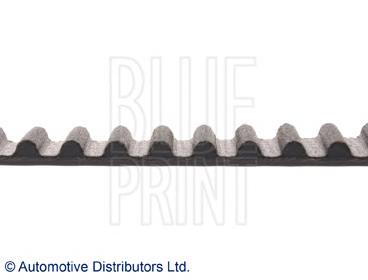 ADN17525 Blue Print correa distribucion