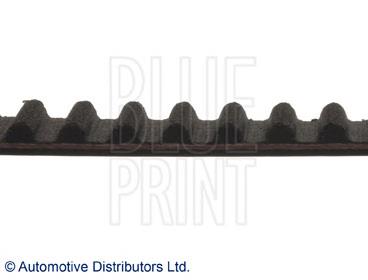 ADN17536 Blue Print correa distribucion