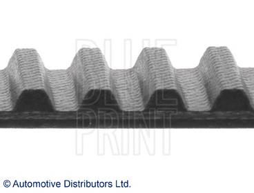 ADN17508 Blue Print correa distribucion