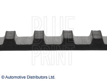 ADN17505 Blue Print correa distribucion