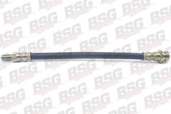 BSG 30-730-036 BSG tubo flexible de frenos trasero