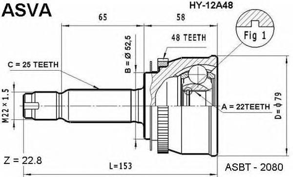 HY12A48 Asva junta homocinética exterior delantera