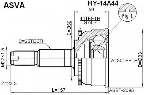 HY14A44 Asva junta homocinética exterior delantera