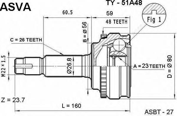 TY-51A48 Asva junta homocinética exterior delantera