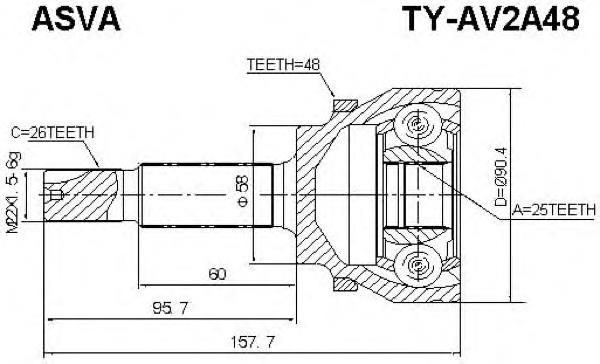 TYAV2A48 Asva junta homocinética exterior delantera