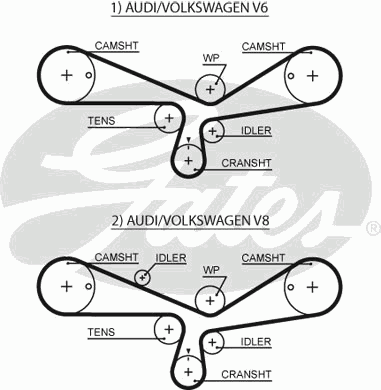 5493XS Gates correa distribucion