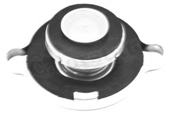  Tapa de radiador para Peugeot 305 2 