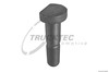 Tornillos para llantas 0233019 TRUCKTEC