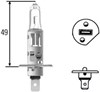 Lámpara halógena 8GH002089251 HELLA