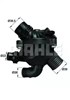 Termostato TM3097 MAHLE