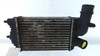 Intercooler Citroen Jumper