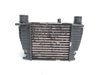 Intercooler 144619U20A NISSAN