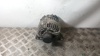 Alternador 504057813 IVECO