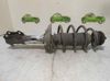 Amortiguador strut delantero 6N0413031K VAG