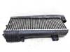 Intercooler Citroen ZX